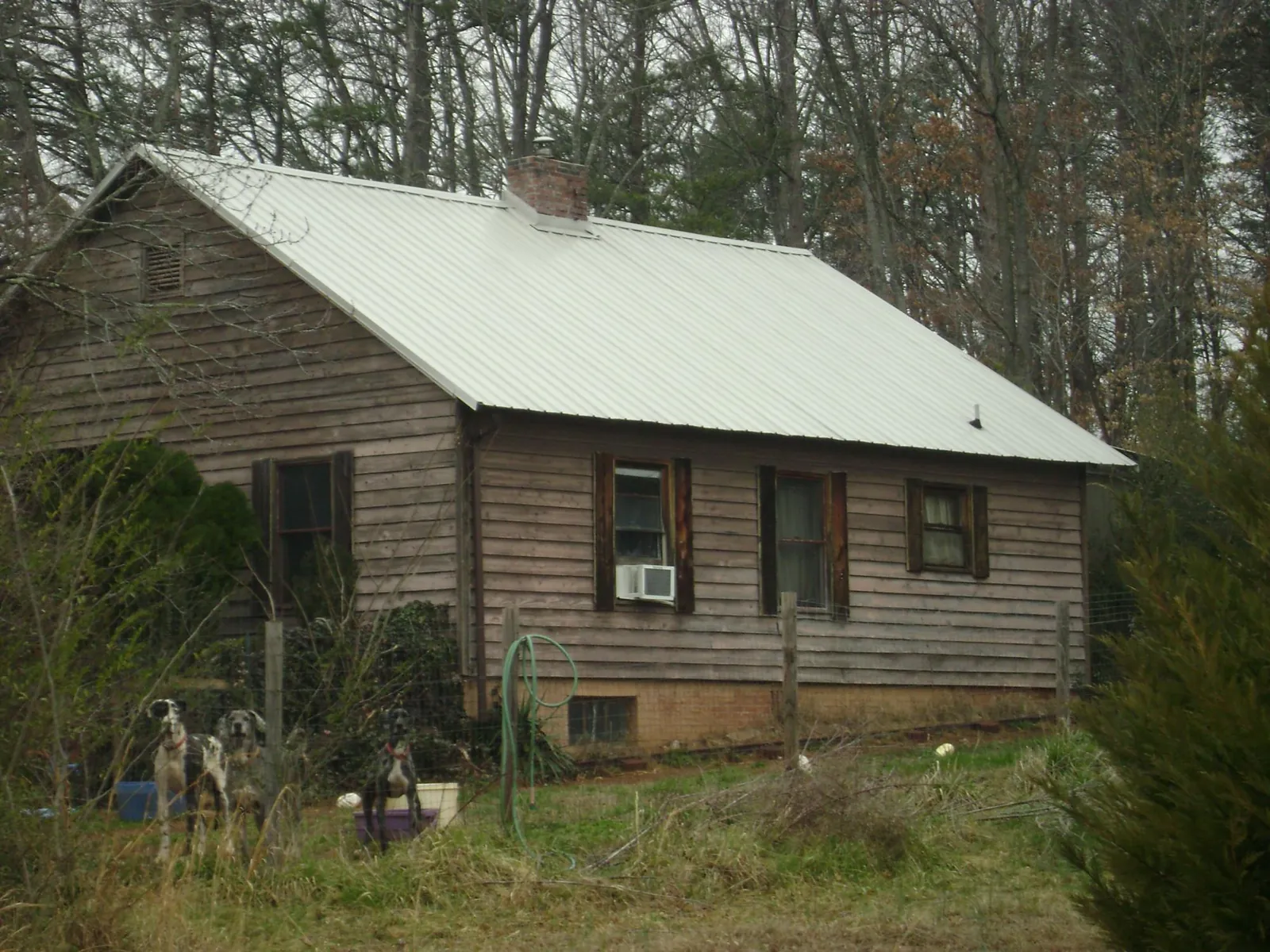 White metal roof on an old wood sided farmhouse, from a Metal Roof Installation job in Dennis Port
